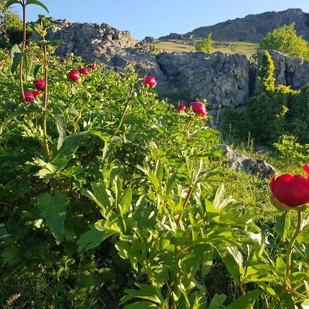 Pensiunea Agroturistica Angheliki トゥルチャ エクステリア 写真