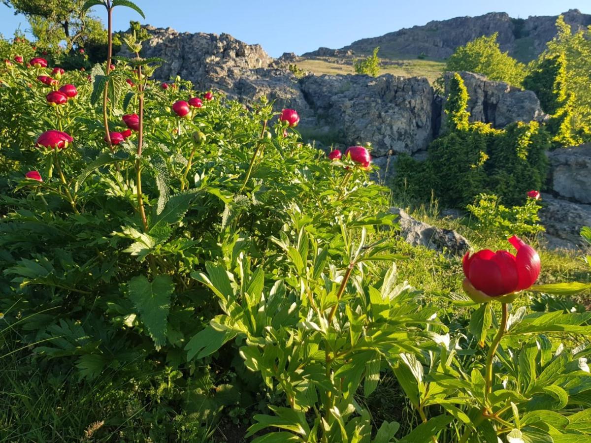 Pensiunea Agroturistica Angheliki トゥルチャ エクステリア 写真